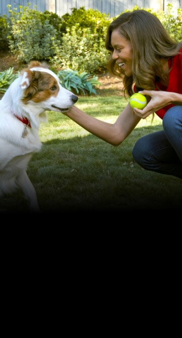1_01 Woman and Dog with Tennis Ball_Mobile_v2.jpg